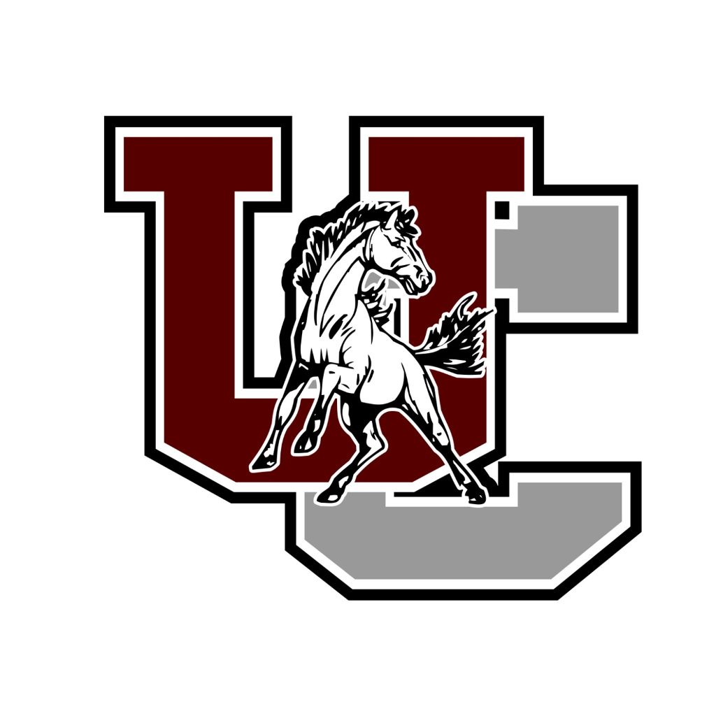 Union City captures D-4 Regional wrestling championship